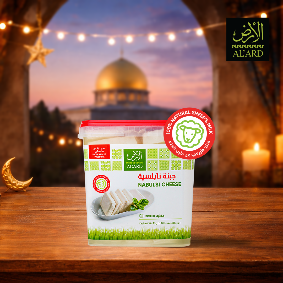 Boiled Nabulsi cheese 4 kg