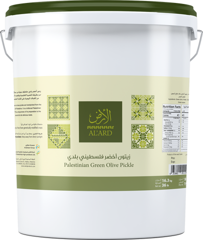 زيتون بلدي مكبوس 9 كغم